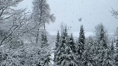 EPIC SLOW MOTION SNOW FALL. Biggest flakes you’ll see. April in Minnesota.