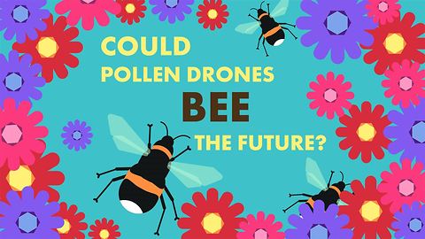 Wildlife Day: Will drones make bees unnecessary?