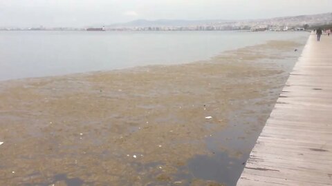 An Image of the Coastal Front of Thessaloniki in the recent Days