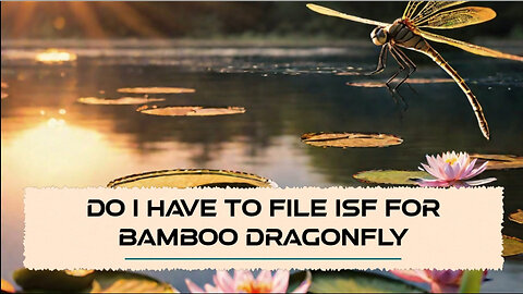 Navigating Customs: Do I Need to File an ISF for a Bamboo Dragonfly Toy?