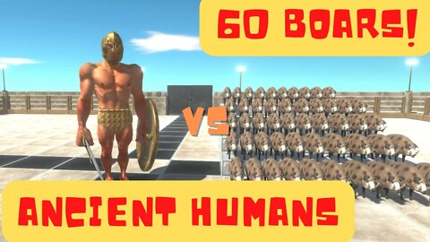 60 Boars vs Ancient Humans Units - Animal Revolt Battle Simulator