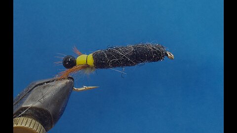 Caddis pipping nymph nr 2 by Mixinsky