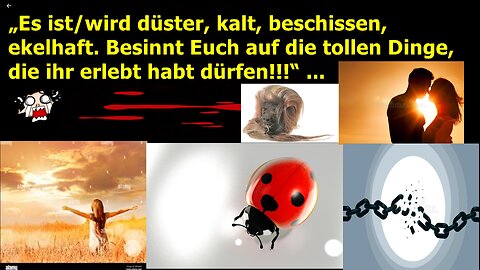 Düster, kalt, beschissen, ekelhaft. Besinnt Euch auf die tollen Dinge, die ihr erlebt habt dürfen