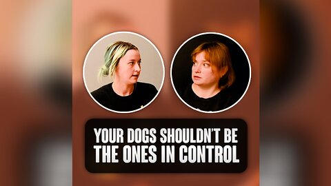 Your dogs shouldn’t be the ones in control