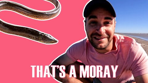 THAT'S A MORAY | VACATION VLOG | CIWTG | S01_EP46