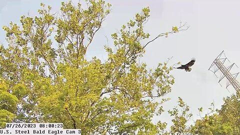 USS Bald Eagle Cam 3 7-26-23 @ 8:00:24 Great video of Hop flyby.