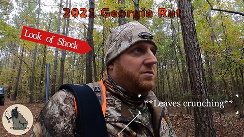 2021 Georgia Rut | Piebald Sighting & Buck Chasing Doe In My Path Walking In