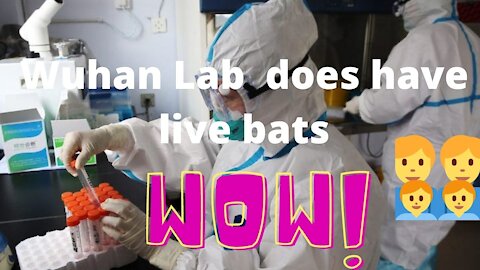 News Update Wuhan Lab "Real Bats"