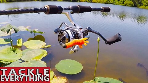 Bank Fishing with Soft Plastics (Ned Rig vs. Mojo Rig...1v1 Challenge)