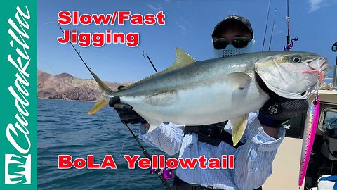 Slow Pitch Rod Jigging For Yellowtail. From drop to jigging to hookup to gaff.