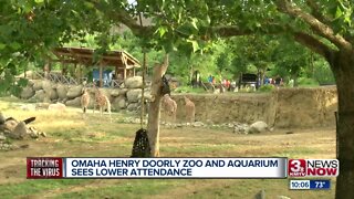 Omaha's Henry Doorly Zoo sees drop in attendance