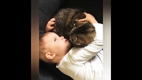 Cute kitten playing with cute kid