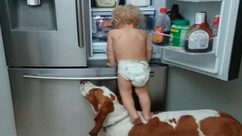 Dog Protecting Baby Compilation