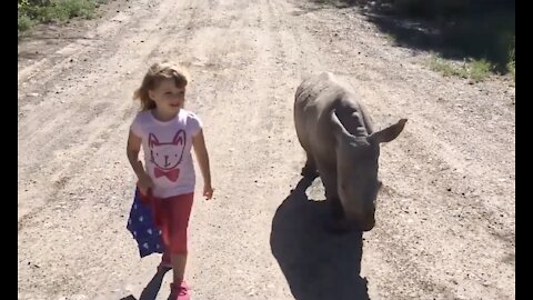 Adorable Baby Rhino Compilation, Gentle Giants Playing With Humans