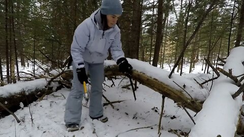 Winter Bushcraft: Camping with my Husky (-20⁰C)-12