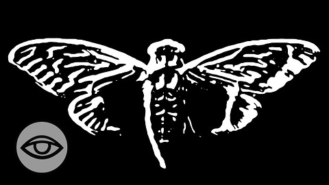 Cicada 3301: The Internet's Most Secret Organization?