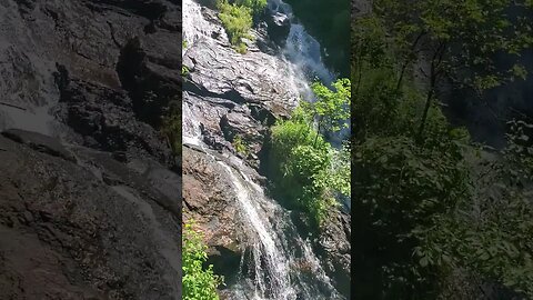 Amicalola Falls #waterfalls #amicalolafalls #nature #shorts