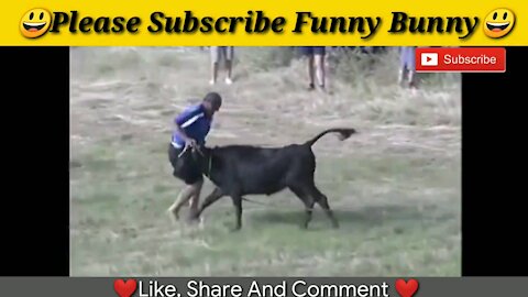 Cow Funny Attack Game 🤣🤣🤣