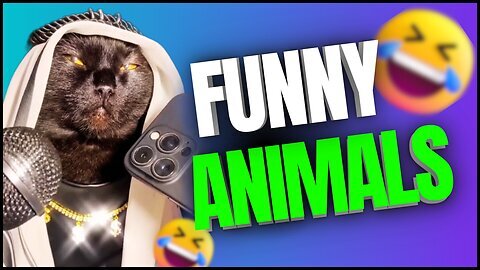 Funny Animal Videos 2024 🤣🤣 Cute And Funny Animals