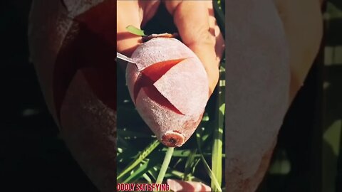 oddly satisfying 🌈 video#oddlysatisfying#oddly#fruitcutting