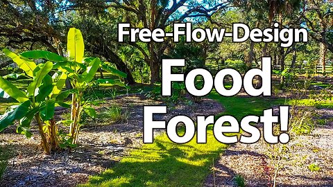 FREE-Style, FREE-Flow Food Forest!! (Follow-Up After 2 Major Hurricanes)