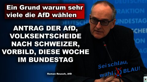 Ein Grund warum sehr viele die AfD wählen, Roman Reusch, AfD