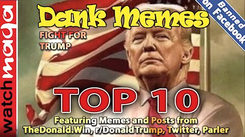 TOP 10 MEMES Fight for Trump