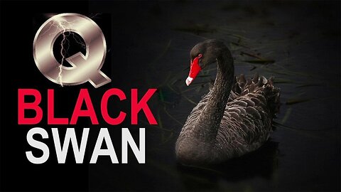 Q drops ~ Black Swan, Trump: “I Love The Truth”