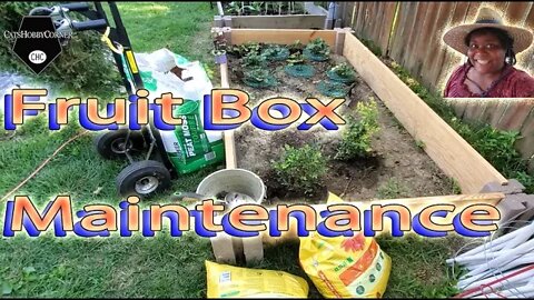 Fruit Box Maintenance