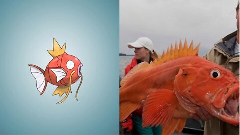 8 Pokemon You Can Actually Catch in REAL LIFE