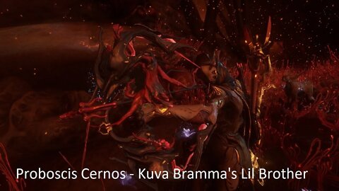 Warframe - The Proboscis Cernos