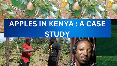 APPLE IN KENYA /APPLE FARMING IN KENYA/ APPLE'S 🍏 IN KENYA #apple #farming #nigeria