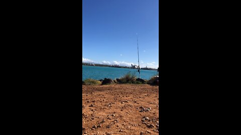 Hawaii Oio Fishing