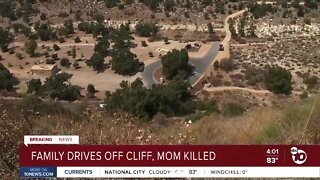 Family drives off cliff, mom killed