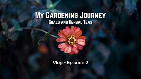 Gardening Journey -Ep. 2: Goals and Herbal Teas