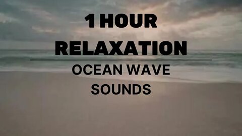 Ocean Waves Sounds - Moody sensation by the beach | Waves crashing ambience with nature sunset