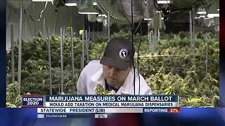 Marijuana measures come up short on March ballot