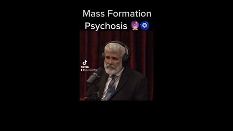 Mass Formation Psychosis