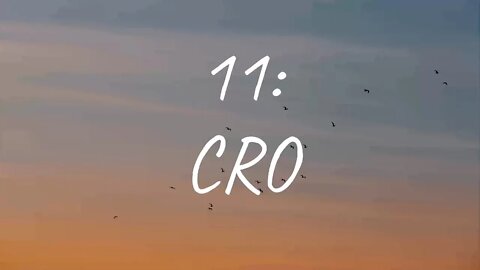 CRO - 11: (Lyrics)