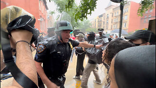 “Back the F*** Away!” NYPD Clash with Pro-Palestine March in Brooklyn, Arrests Made