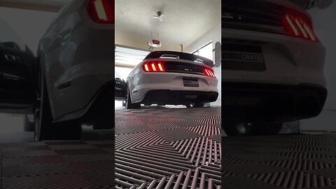 2021 Mustang GT 5.0 Cold Start Borla Atak Exhaust