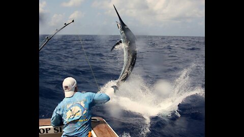 A large deep sea fishing vessel