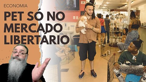 NOVA IORQUE vai PROIBIR PET SHOPS LEGALIZADOS para EVITAR MAUS TRATOS a CÃES: Olha a OPORTUNIDADE!