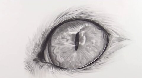 The importance of black and white Cat eye drawing