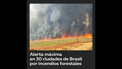 Al menos 30 ciudades están en alerta máxima por incendios en Brasil