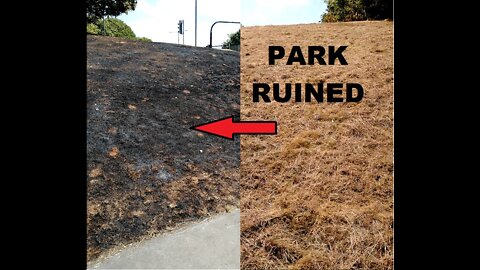 Our local park got burnt