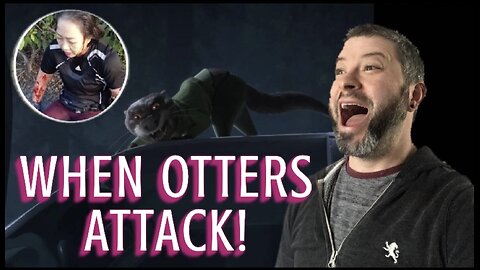 Female Jogger Is Mauled By A Gang Of Otters