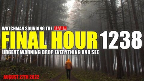 FINAL HOUR 1238 - URGENT WARNING DROP EVERYTHING AND SEE - WATCHMAN SOUNDING THE ALARM