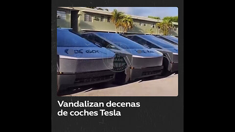 Pintan con aerosol "F*ck Elon" en 34 vehículos nuevos de Tesla