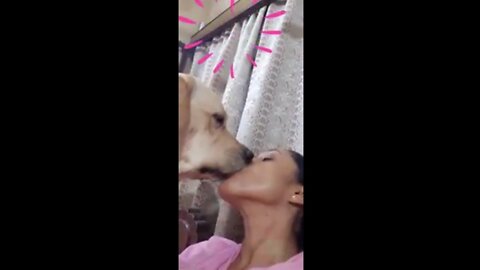 Dog kiss girls lip with dip kissing